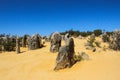 Termite mounds Australia Royalty Free Stock Photo