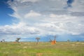 Termite mounds Namibia ants africa Royalty Free Stock Photo