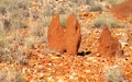 Termite mounds in the arid Australian outback Royalty Free Stock Photo