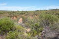 Termite Mount: Kalbarri Bushland Royalty Free Stock Photo