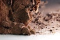 Termite nest, background of nest termite, damaged wooden eaten by termite or white ant selective focus Royalty Free Stock Photo