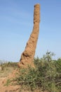 Termite nest, Ethiopia, Africa Royalty Free Stock Photo