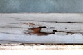 Termite nest hole at wooden wall, nest termite at wood decay window sill architrave, background of nest termite, white ant Royalty Free Stock Photo