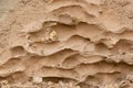 Termite nest made by soil Royalty Free Stock Photo