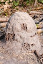 Termite nest mound, Giant termites Royalty Free Stock Photo