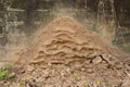 Termite nest mound made by soil Royalty Free Stock Photo