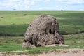 Termite Nest (Termitarium), Masai MAra, Kenya, Africa Royalty Free Stock Photo