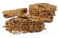 Termite nest Royalty Free Stock Photo