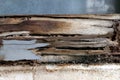 Termite nest at wooden wall, nest termite at wood decay window sill architrave, background of nest termite, white ant, background