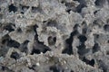 Termite nests in the ground have natural textures and beautiful abstract patterns Royalty Free Stock Photo