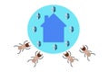 Termite protection. Idea concept for protec the home rom Termite