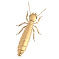 termite reproductive Royalty Free Stock Photo