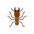 Termite insect wood single flat color vector icon