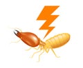 Termite with thunder symbol orange isolated on white background, logo insects termite and thunder flash, termite thunder symbol