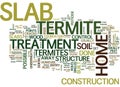 Termite Treatment Slab Text Background Word Cloud Concept