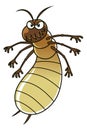 Termite