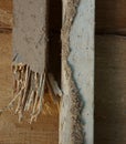 Termite wood damage and mud tube Royalty Free Stock Photo