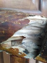 termite wood and sunshine shade Royalty Free Stock Photo