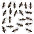 Termite workers Royalty Free Stock Photo