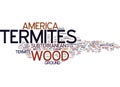 Termites In America Text Background Word Cloud Concept