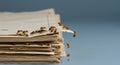 Termites Eating Paper Documents Royalty Free Stock Photo