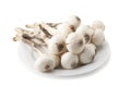 Termitomyces mushroom or termite mushroom Royalty Free Stock Photo