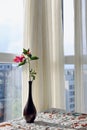 Bottle Flowers by the Window: Enjoying a Leisurely Moment Royalty Free Stock Photo