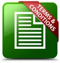 Terms and conditions page icon green square button Royalty Free Stock Photo