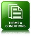 Terms and conditions (pages icon) green square button