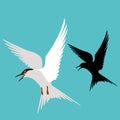 Tern vector illustration flat style profile side black Royalty Free Stock Photo