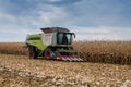 TERNOPIL REGION, UKRAINE - November 04, 2021 - harvester cuts a stalk of corn