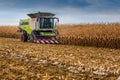 TERNOPIL REGION, UKRAINE - November 04, 2021 - harvesting corn in the field