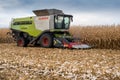 TERNOPIL REGION, UKRAINE - November 04, 2021 - combine Lexion 770 harvester work on corn field