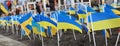 Ternopil, Ukraine - February 2023: Ukrainian flags on the avenue of memory of fallen soldiers in the Russian-Ukrainian war.