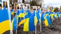 Ternopil, Ukraine - February 2023: Ukrainian flags on the avenue of memory of fallen soldiers in the Russian-Ukrainian war.