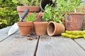 Terra cotta flower pots with plants and shovel  on a table Royalty Free Stock Photo