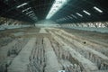 Terra Cotta Warrior Excavation Site Royalty Free Stock Photo