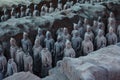 Terra Cotta Warriors Royalty Free Stock Photo