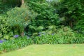 Terra Nostra Garden in Furnas town, Sao Miguel island, Azores, Portugal Royalty Free Stock Photo