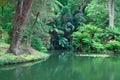 The Terra Nostra Garden on Sao Miguel island, Azores.