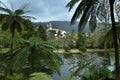 Terra Nostra natural park in Sao Miguel, Azores, Portugal