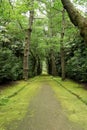 Terra Nostra Park, Sao Miguel island, Portugal