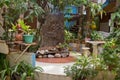 Terrace design in asian village, Philippines. Wooden decoration with plants and flower pots in tropical patio. Beautiful backyard. Royalty Free Stock Photo