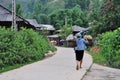 Terrace field in the North West of Vietnam Royalty Free Stock Photo