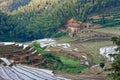 Hilly terraced field