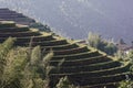 Hilly terraced field