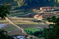 Hilly terraced field