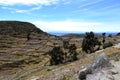 Terrace fields - cultivation on Isla del Sol, Lake Titicaca Peru Royalty Free Stock Photo