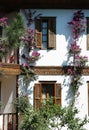 Terrace and flowers in hotel. Royalty Free Stock Photo