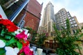 Terrace garden and skyscrapers